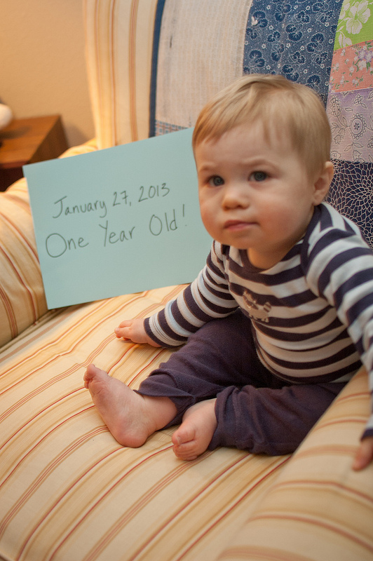 One year old