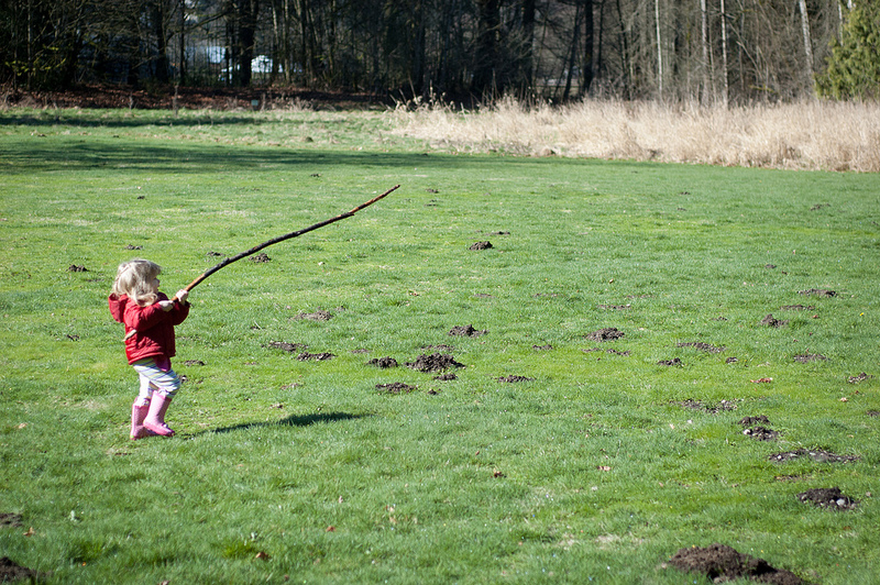 Bea and big stick
